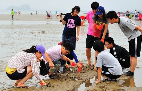 충남과학교육원, 생태체험·갯벌탐사 운영