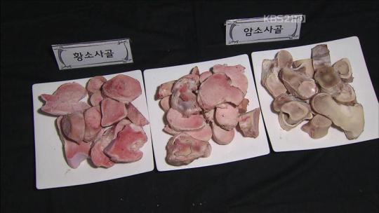 “좋은 한우, 이렇게 고르세요”