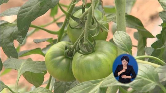 비료·기름 값 폭등에 농민 ‘울상’