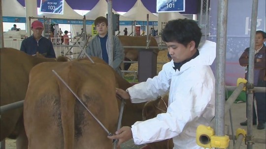 경기 축산 G-페스티벌…‘최고의 한우를 찾아라’