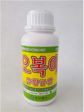 [수출, 이렇게 성공했다] 백낙영 코시팜스 대표 | 친환경유기농자재