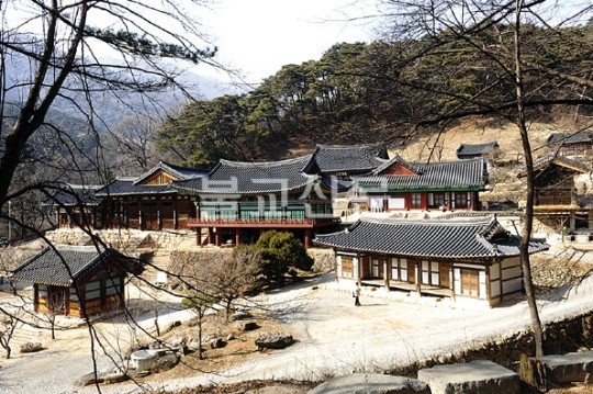 첫 회상 열고 성철사상 초전법륜 펼치다