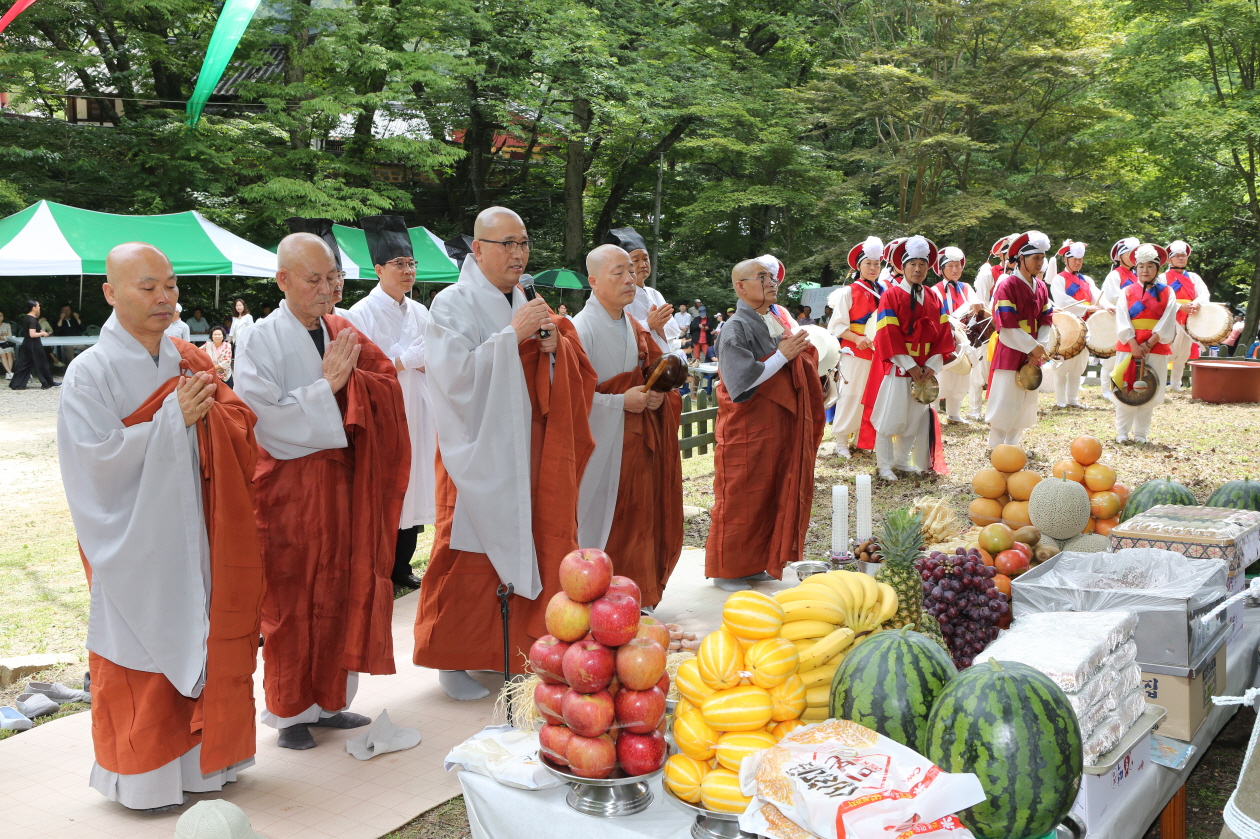금산 보석사 은행나무 대신제 거행