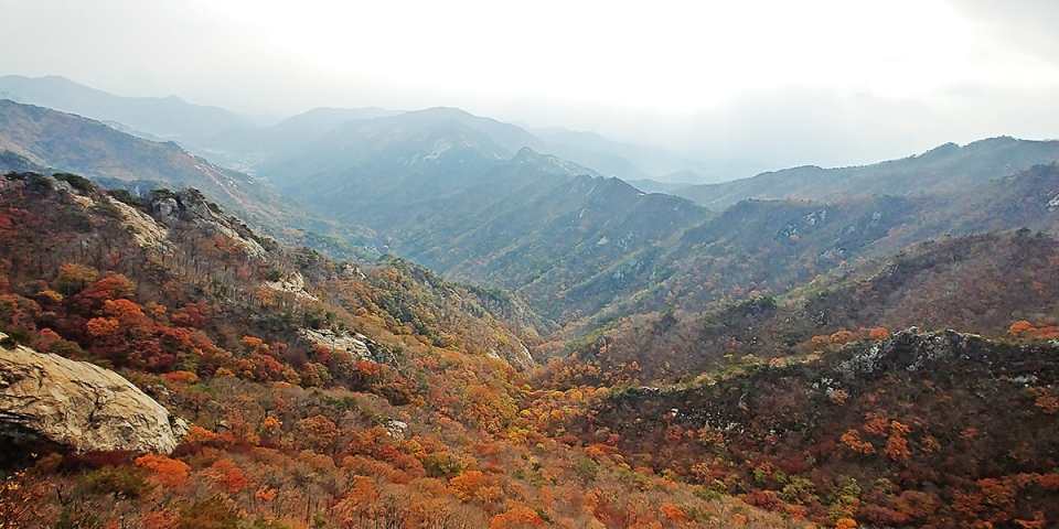 인연따라 자비 보살로 중생 품는 천하영지 계룡산