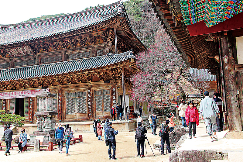 [전법의 중심 교구] 지역과의 상생으로 존경받다, 지리산 대화엄사