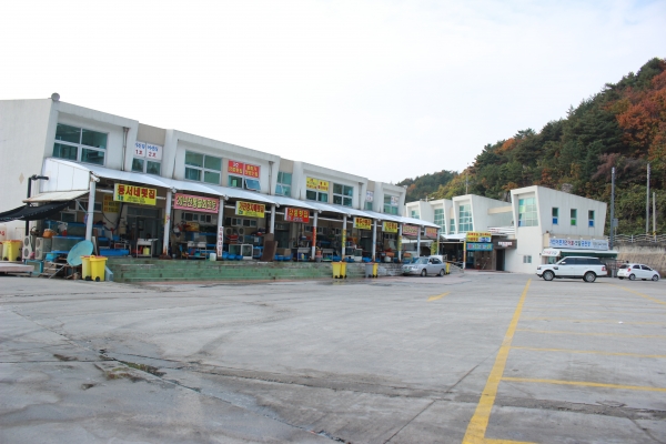 어둔 밤, 더욱 밝게 빛나는 저 등대 불빛은 북쪽까지 닿았을까?