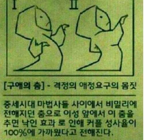 신비의 애인 만드는 춤 “구애의 춤으로 이성 사로잡아?”