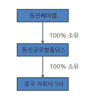 중간지주사 만든 동진쎄미켐, 오너家 지분 승계 위한 포석?