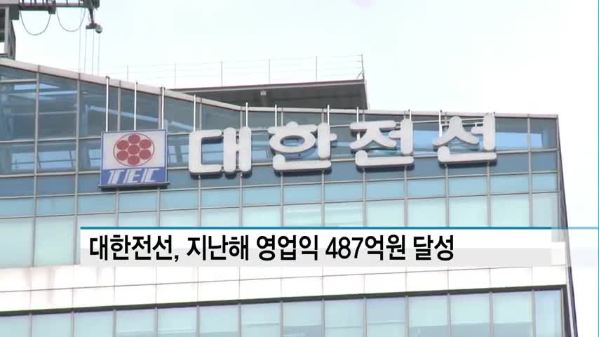 대한전선, 지난해 영업익 487억원...전년비 73.4% 증가