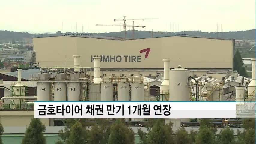 금호타이어 채권만기 1개월 연장…산은 여러 정상화방안 검토