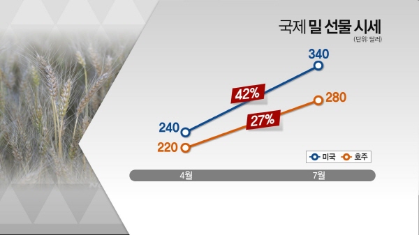 밀가루 가격도 오르나…제분업계, 복잡한 셈법