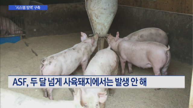 체계적 ASF 대응능력 갖춘다…시스템 방역 구축