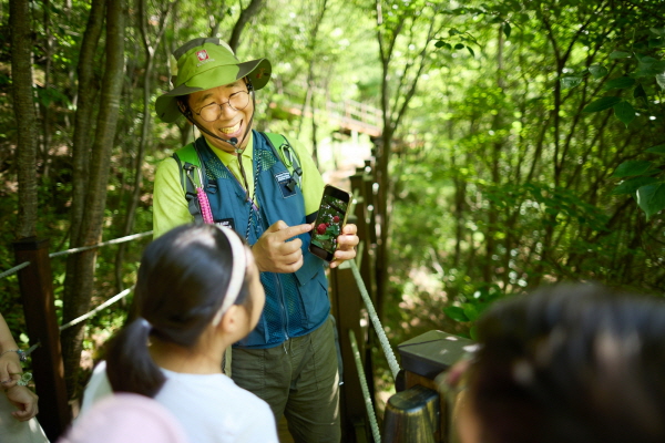 강원랜드 단체의 숲·하늘길 둘레길, 산림청 100대 명품숲·명품숲길 50선 선정