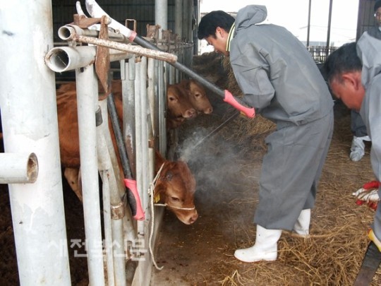 맞춤형 축산연합컨설팅안전 경영 한몫