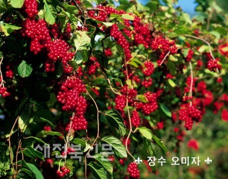 최고 품질 자랑하는 고부가가치 사업으로 부농의 꿈 일군다