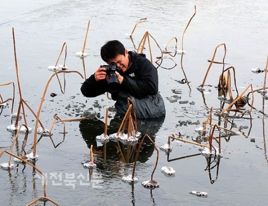 그윽한 길 따라가면 만나는 연꽃 속 세상…
