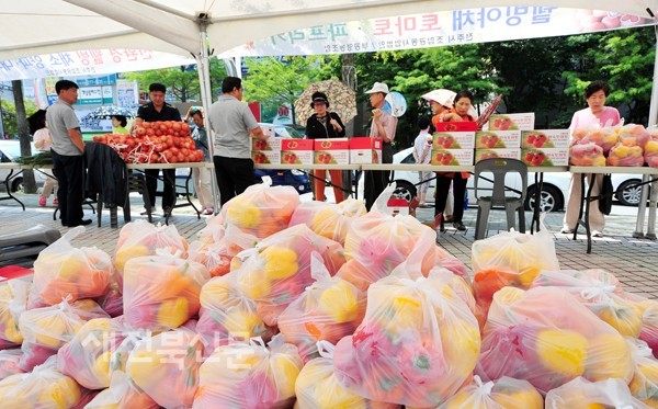 농산물 직거래 장터