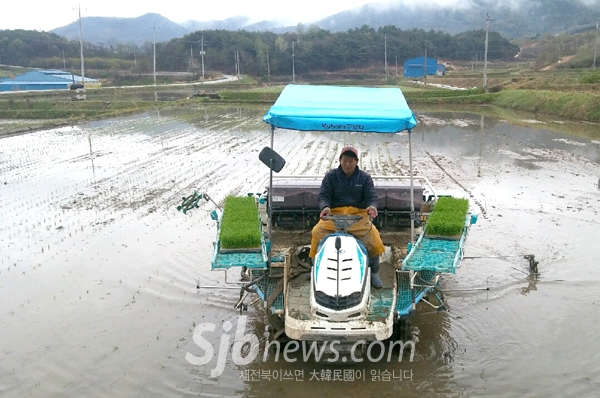 순창 풍산면, 첫 모내기 풍년기원