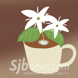 커피 꽃