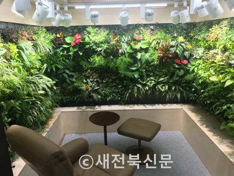 공공장소에 공기정화 미니정원