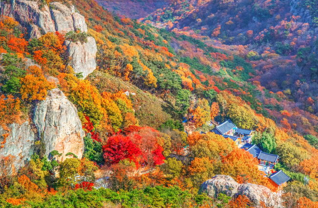선운산도립공원, 가을 행락철 불법행위 단속