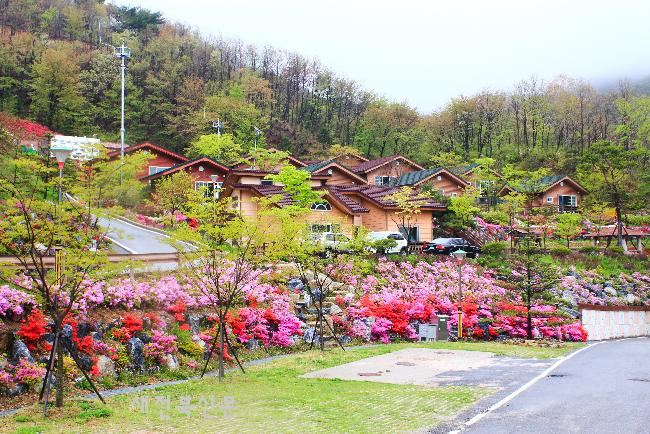 진안 데미샘 휴양림 숙박예약