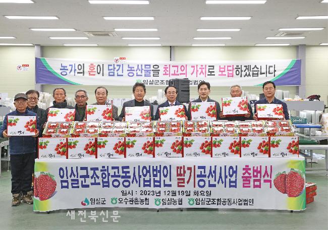 임실군, 새콤달콤 명품 임실N딸기 본격 출하