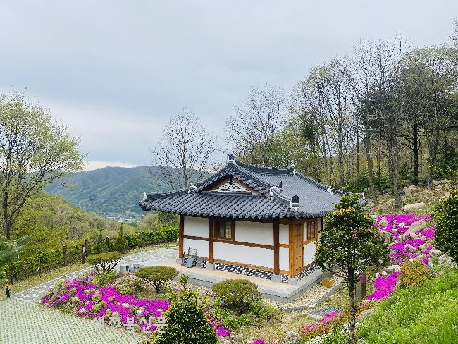 올여름 피서는 데미샘 휴양림서