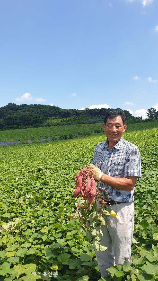 [포커스] 전국 최대 면적 고구마 생산, 고창황토배기청정고구마 서재필 대표