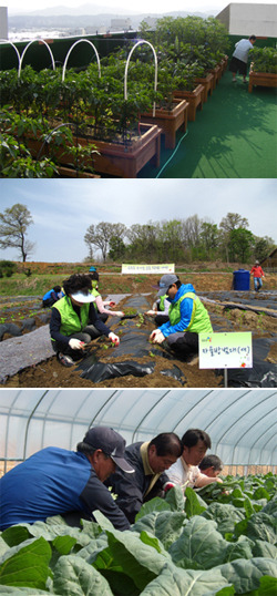 청정 흙에서 친환경 농업의 미래 싹튼다