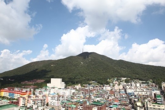 천년의 역사 품고 지켜온 숲 삭막한 도심에 불어 넣은 숨
