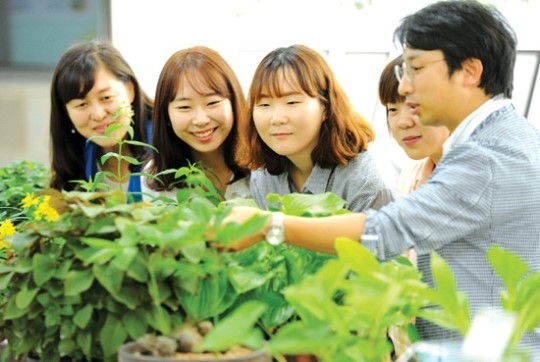 토종 약초 직접 만지며 배워요
