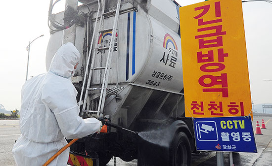 AI 전국 확산… 인천 방역 안간힘
