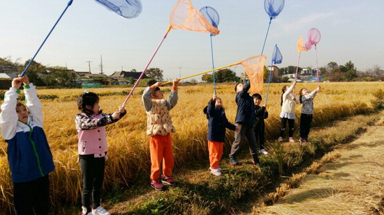 도심 속 황금들판서 농부 돼 볼까