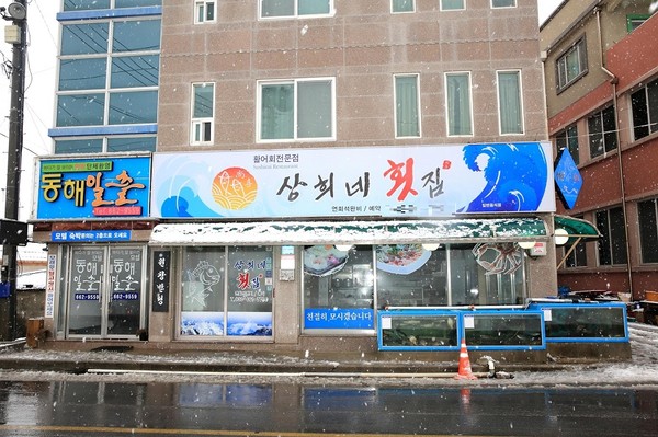 주문진 맛집 상희네횟집, 선주 직판횟집에서 싱싱한 회 선보여