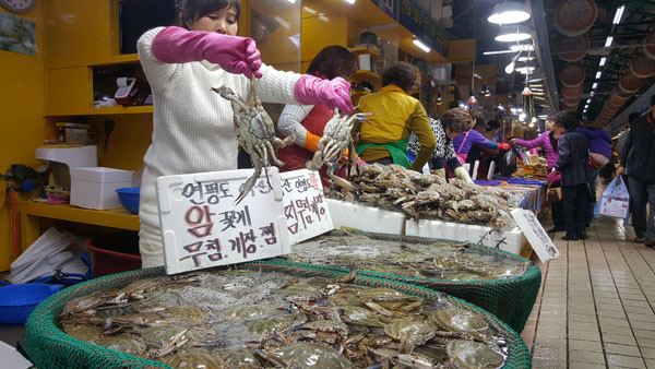 인천 수산물 도매유통업계 지원책 절실