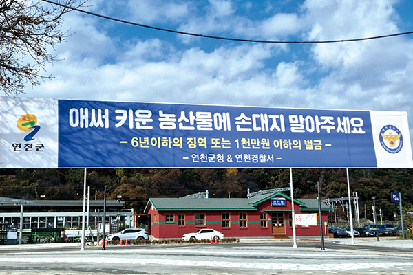 손타는 농산물에 속타는 연천군 농민들