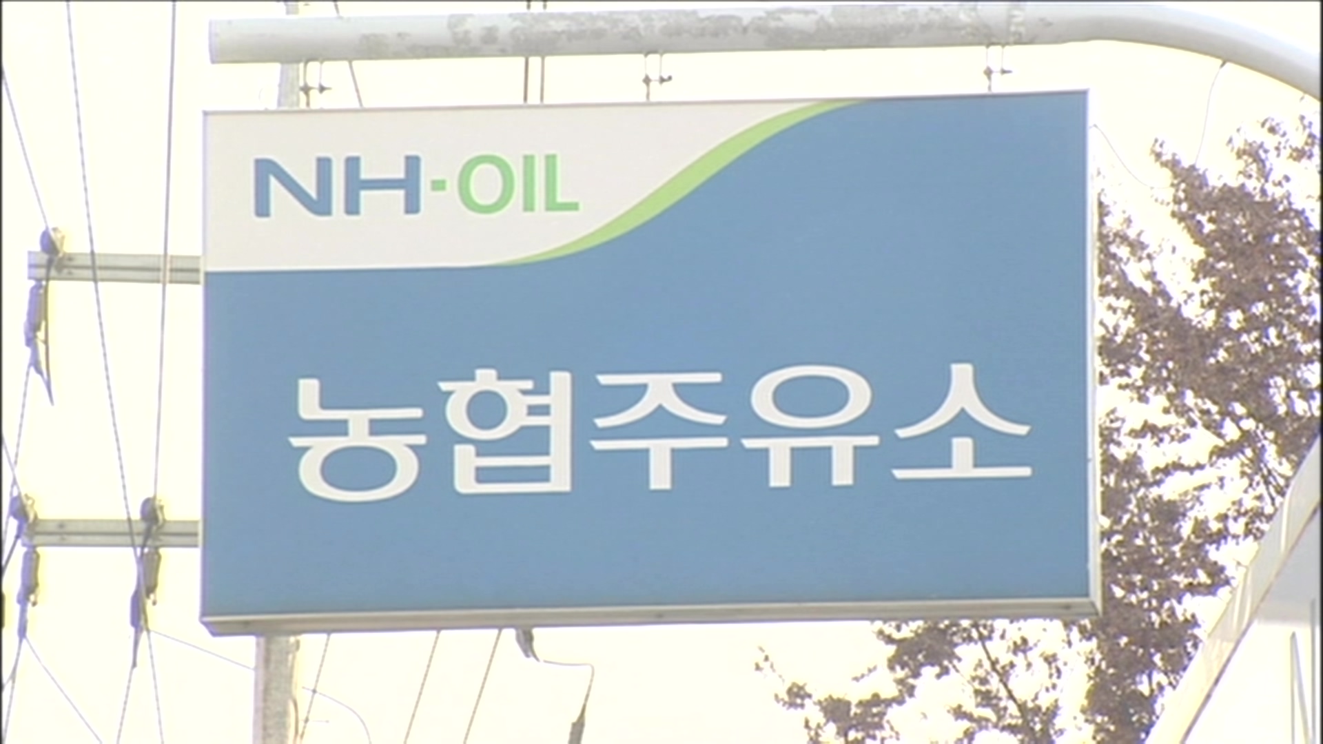 국세청, 농협 면세유 불법유통 의혹 조사 착수