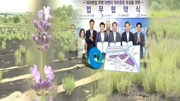 경인 아라뱃길에 라벤더 테마파크 조성한다