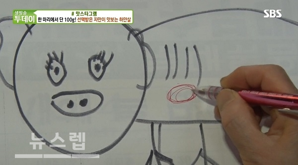 정체불명 고기 하얀살…한 마리당 100g 뿐?