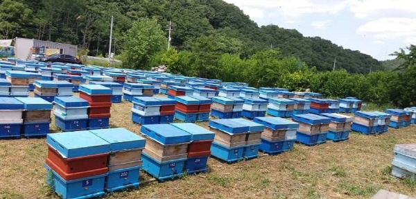 경상남도, 양봉 지원 사업으로 명품 양봉산물 생산