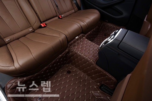 세차용품회사에서 좋아하는 자동차매트, 사이언스카 6d카매트