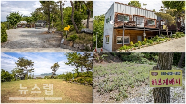 검디관광농원캠핑장, 노을이 예쁜 강화도 캠핑장으로 눈길