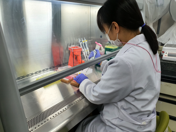인천 유통 한우고기 DNA 검사 결과 모두 한우