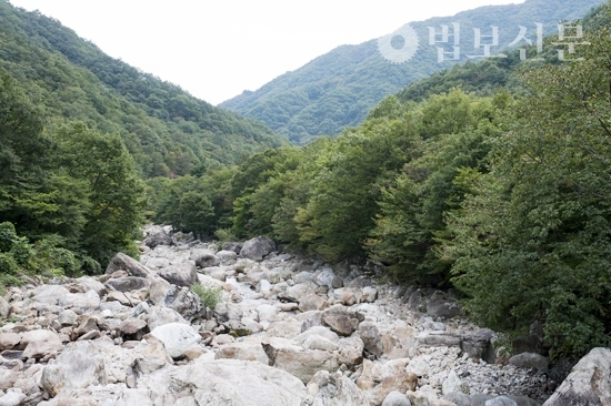 6. 송광사의 율목봉산 관리