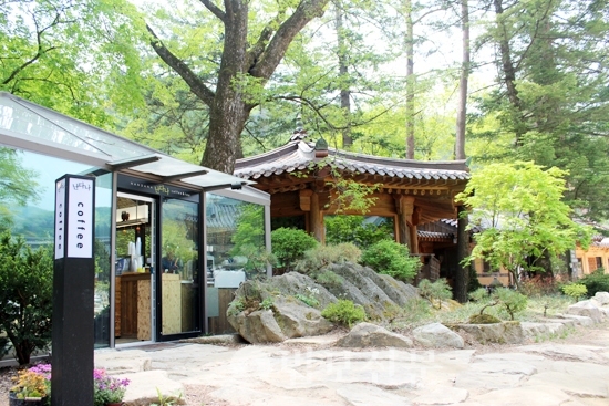 고즈넉한 산사서 맛보는 커피 한잔의 여유