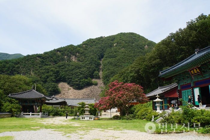 62. 영동 백화산 반야사-문수전-임천석대-저승골