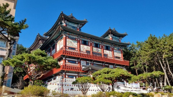 천태종 부산 광명사, 생활치유명상 초급반 1기 모집