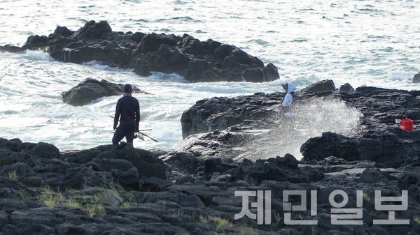 높은 파도에도 갯바위 낚시…안전불감증 여전