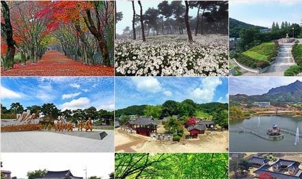 정읍 보물 369 선정